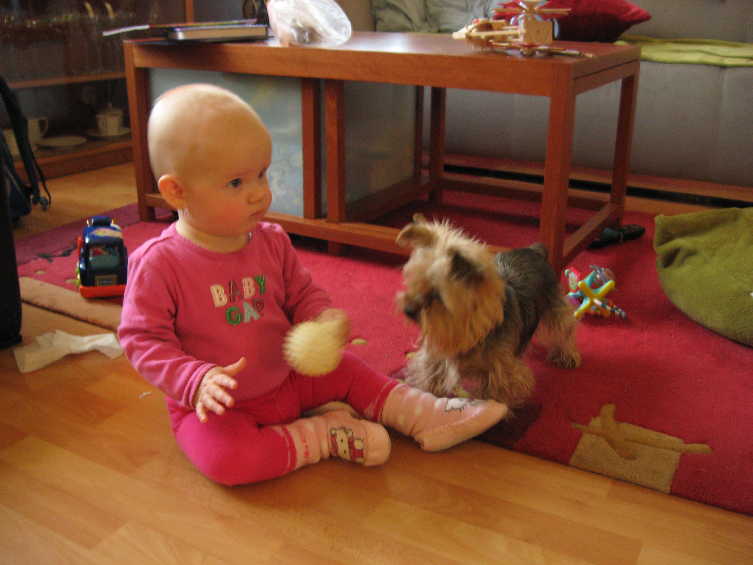 IMG_2240.JPG