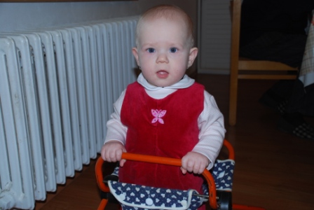 DSC 309.jpg
