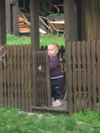 IMG_3392.JPG